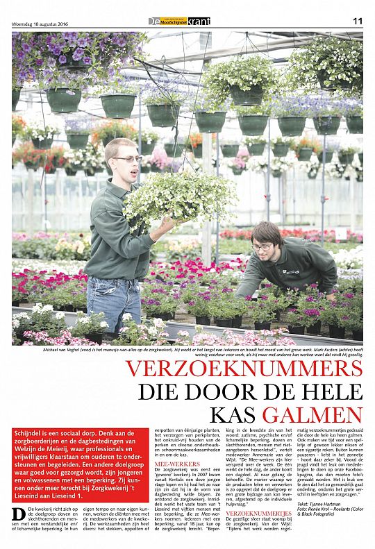 zomerkrant.jpg